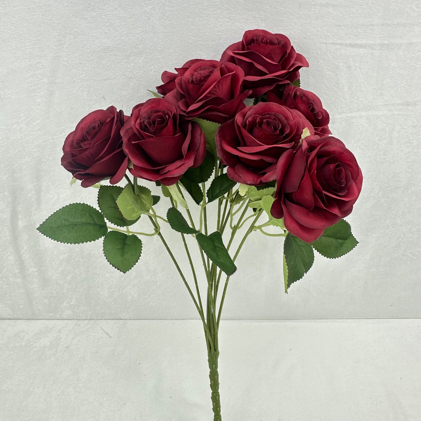 Red Silk Holland Rose Bush - 9 Heads