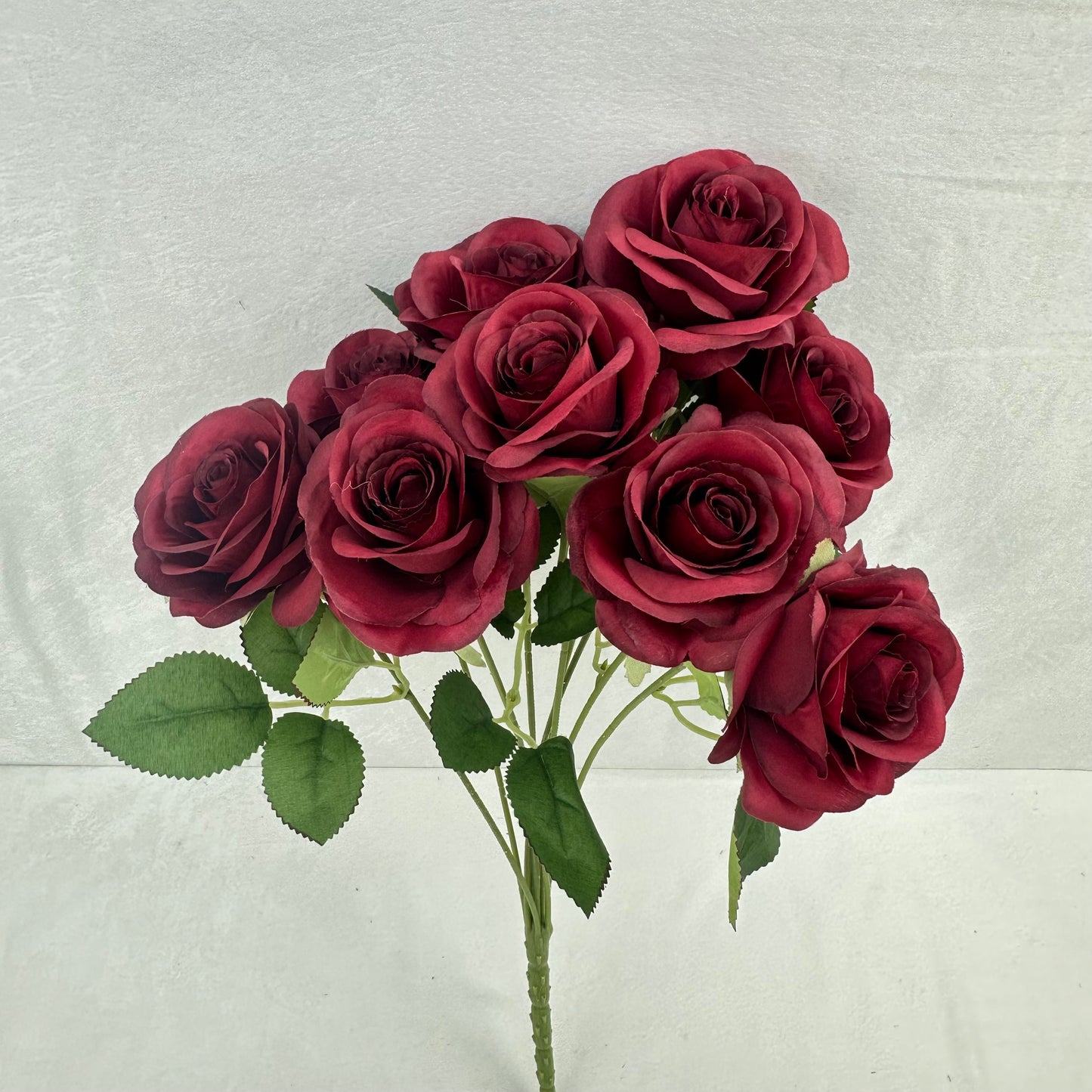 Red Silk Holland Rose Bush - 9 Heads
