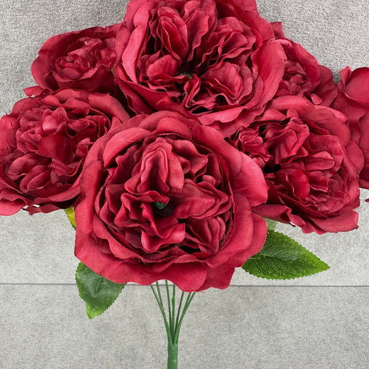 Red Silk Austin Rose Bush - 7 Heads