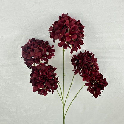 Red Silk Candy Hydrangea Bush - 5 Heads