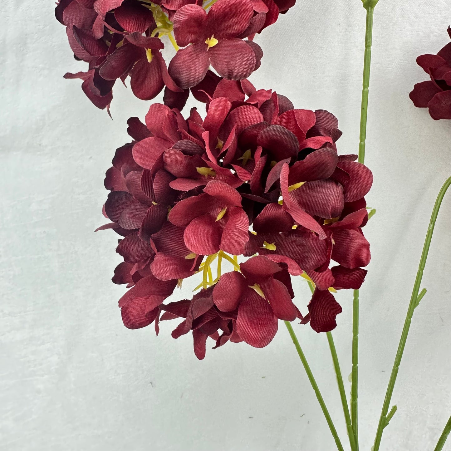 Red Silk Candy Hydrangea Bush - 5 Heads