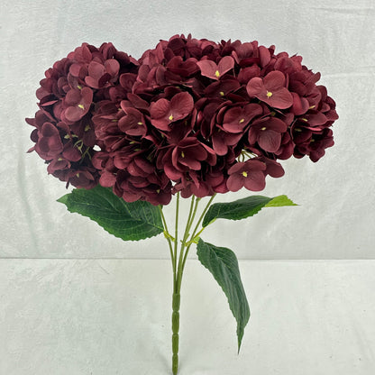 Red Silk Pomegranate Hydrangea Bush - 5 Heads