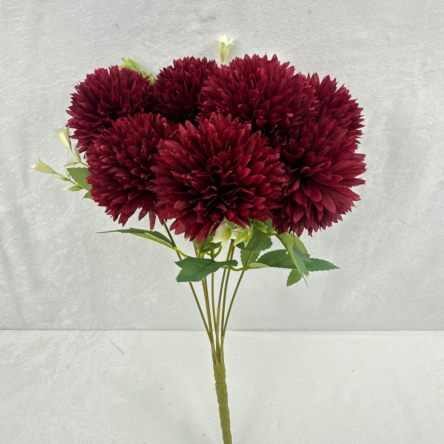 Red Silk Needle Chrysanthemum Bush - 7 Heads