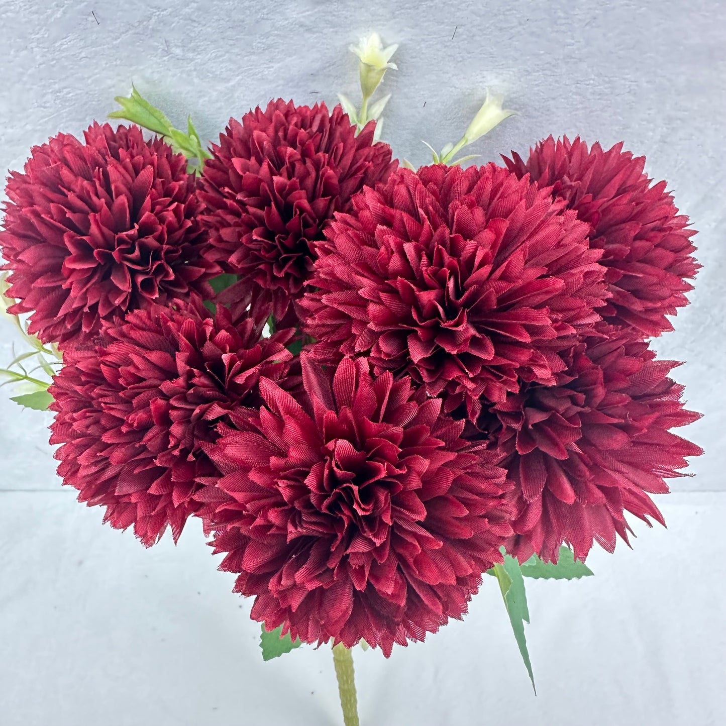 Red Silk Needle Chrysanthemum Bush - 7 Heads