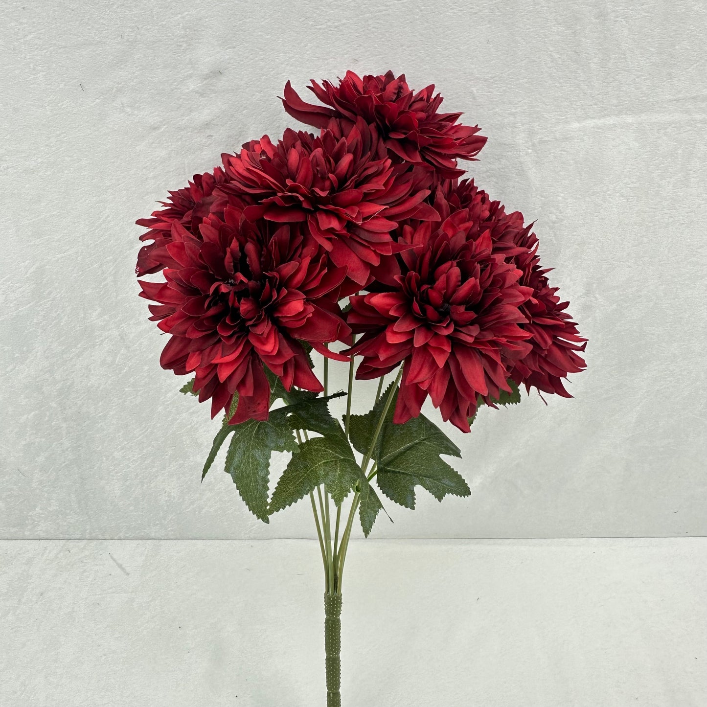 Red Silk Bo New Dahlia Bush - 7 Heads