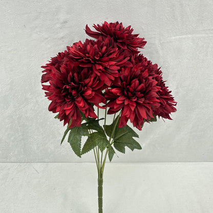 Red Silk Bo New Dahlia Bush - 7 Heads