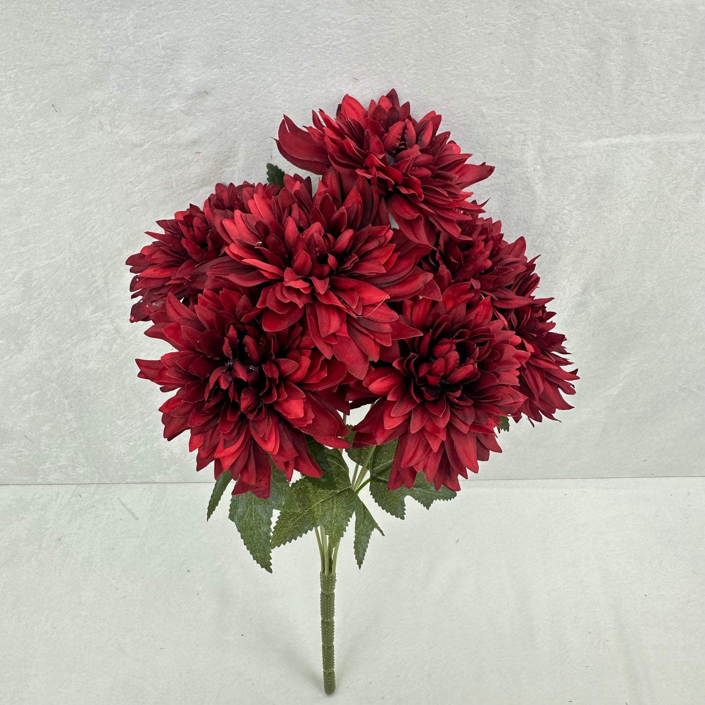 Red Silk Bo New Dahlia Bush - 7 Heads
