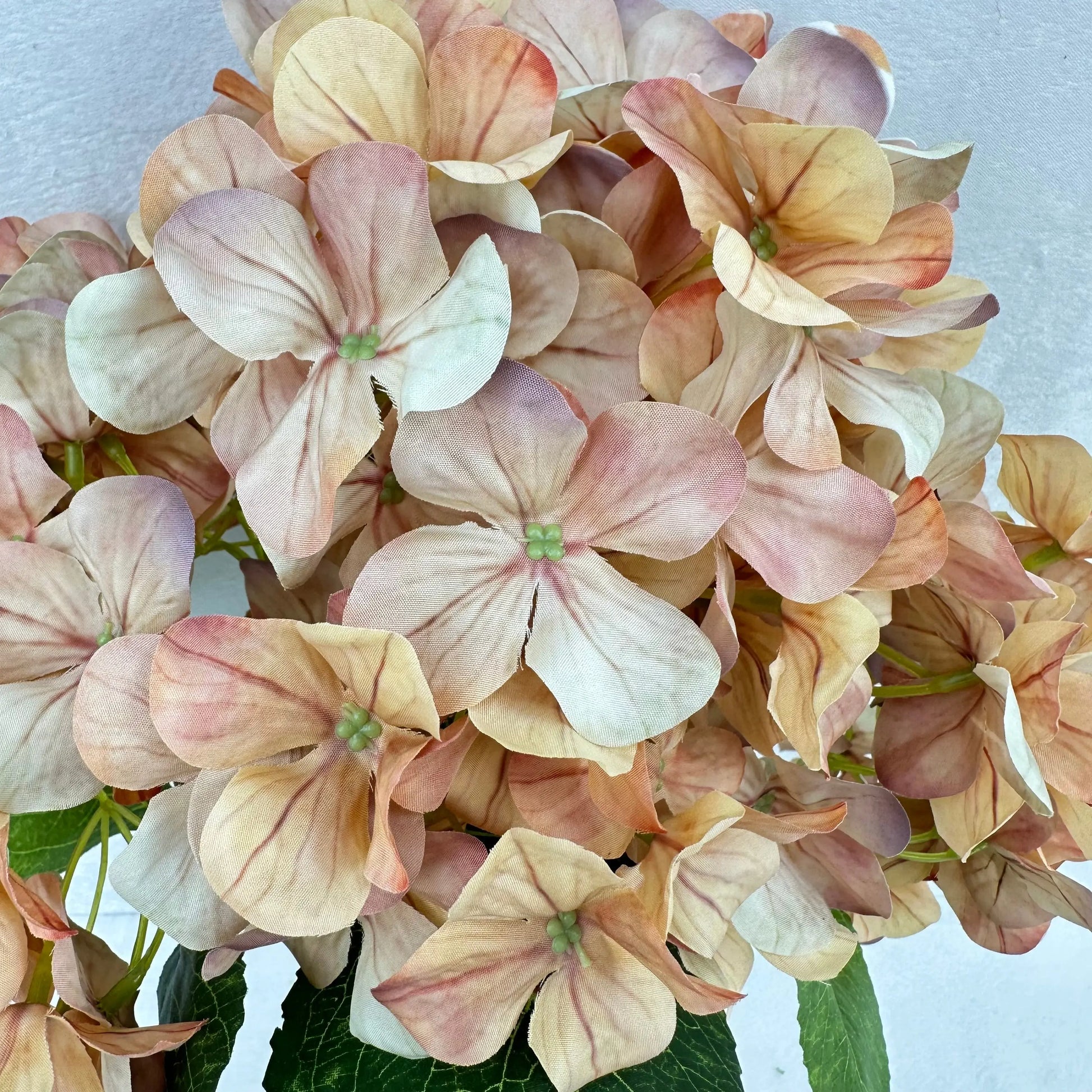 Brown Silk 3D Hydrangea Bush - 5 Heads RosesHQ.com