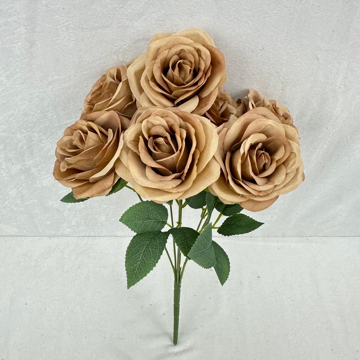 Brown Silk Happiness Rose Bush - 7 Heads