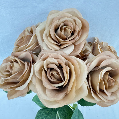 Brown Silk Happiness Rose Bush - 7 Heads