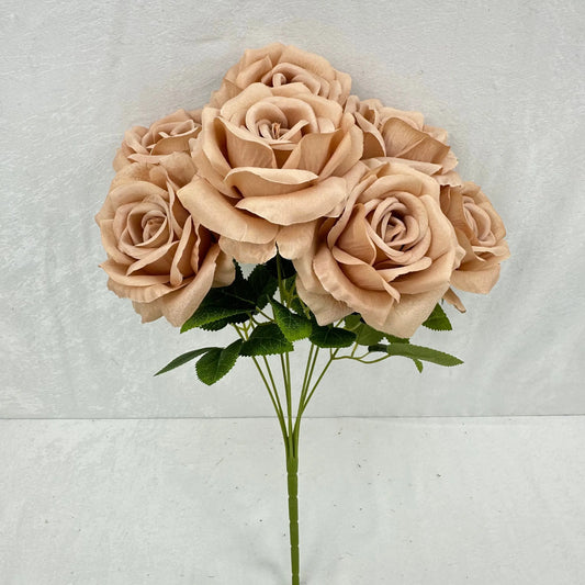 Brown Silk Star Moon Rose Bush - 7 Heads RosesHQ.com