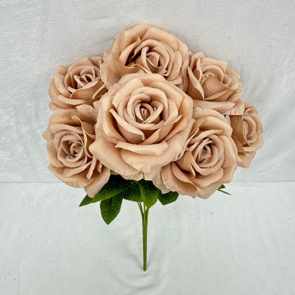Brown Silk Star Moon Rose Bush - 7 Heads