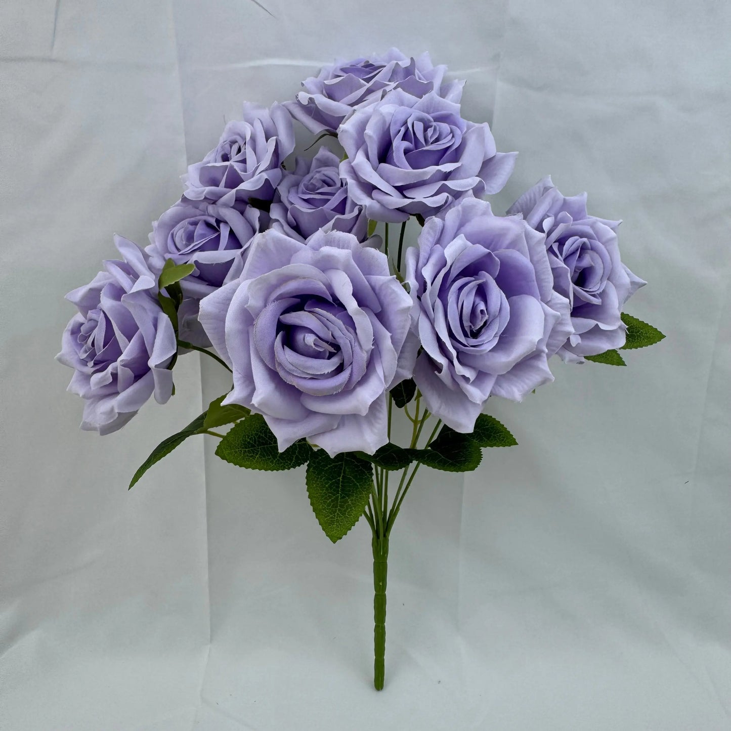 Lilac Silk Fruit Rose Bush - 9 Heads RosesHQ.com