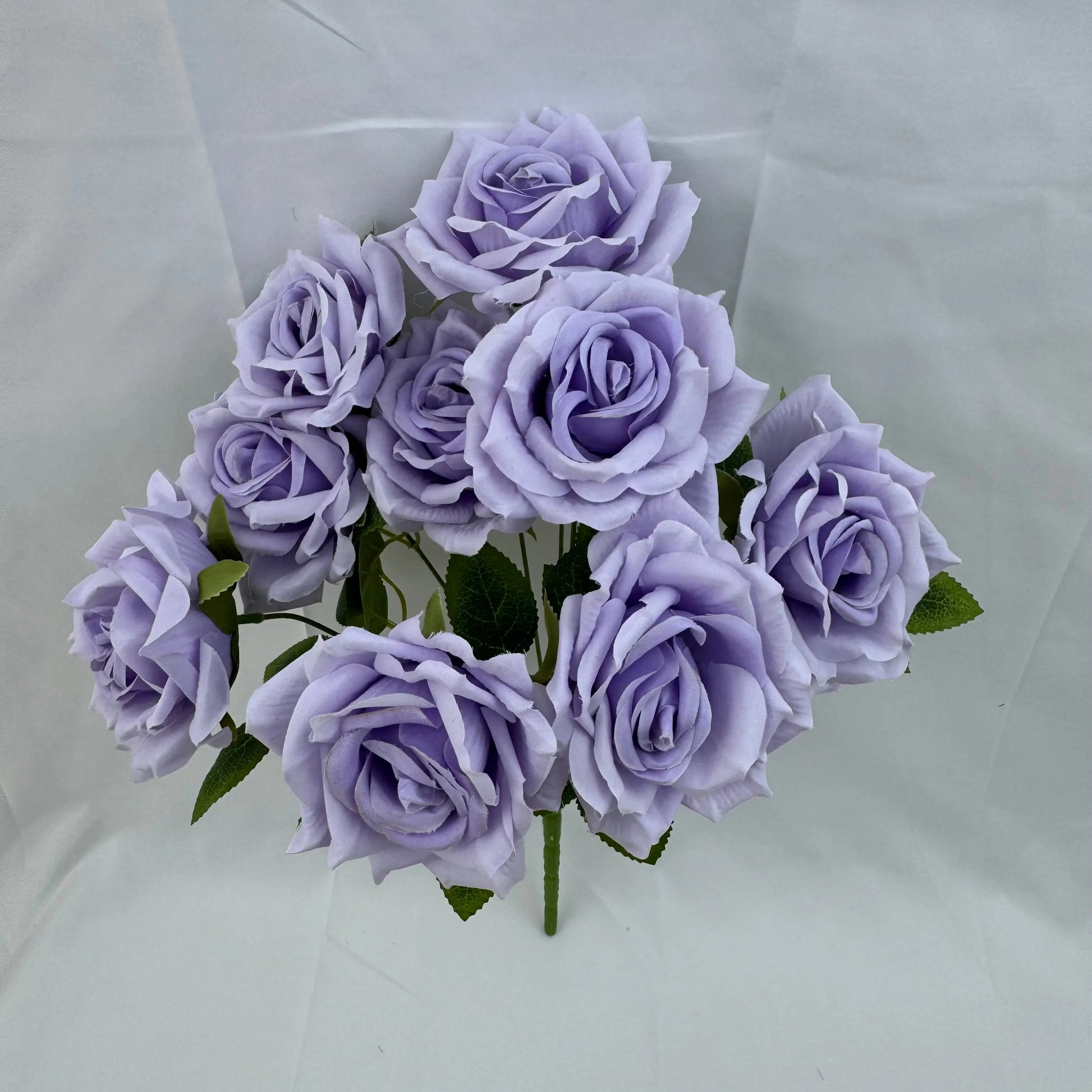 Lilac Silk Fruit Rose Bush - 9 Heads RosesHQ.com