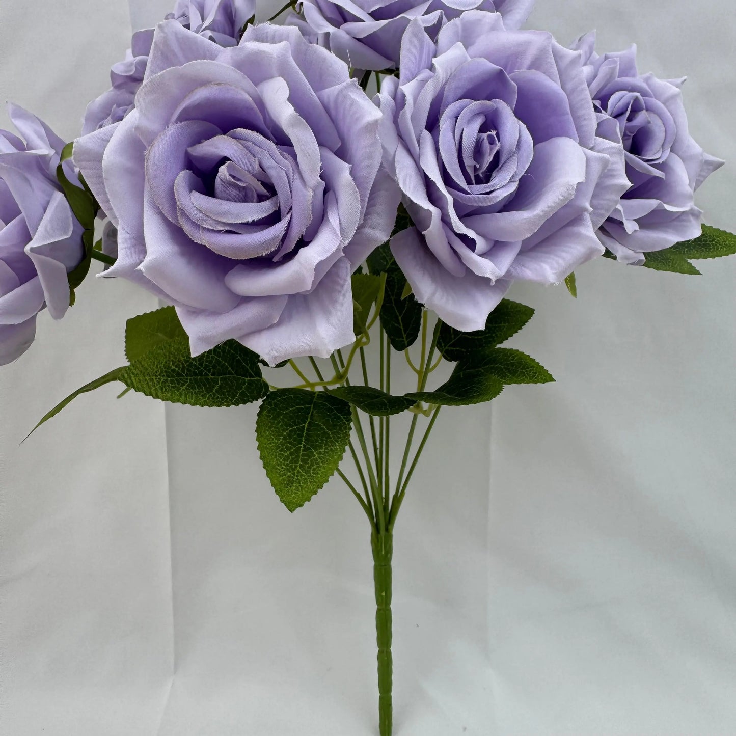 Lilac Silk Fruit Rose Bush - 9 Heads RosesHQ.com