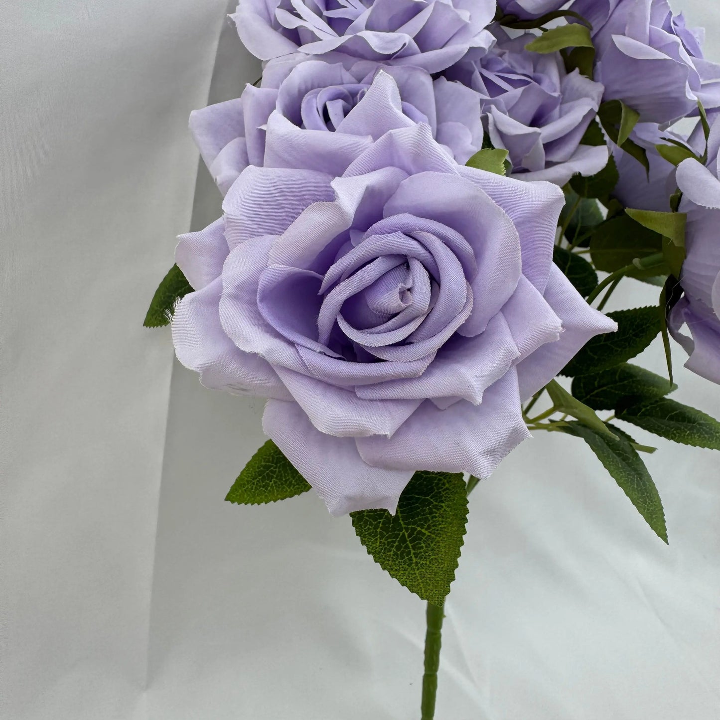 Lilac Silk Fruit Rose Bush - 9 Heads RosesHQ.com