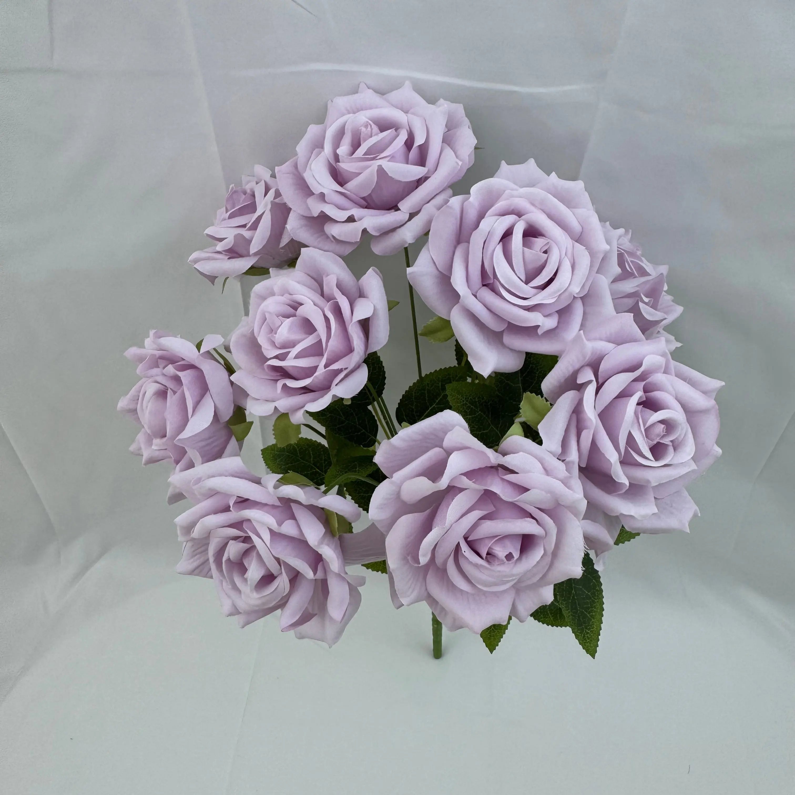 Lilac Silk Fruit Rose Bush - 9 Heads RosesHQ.com