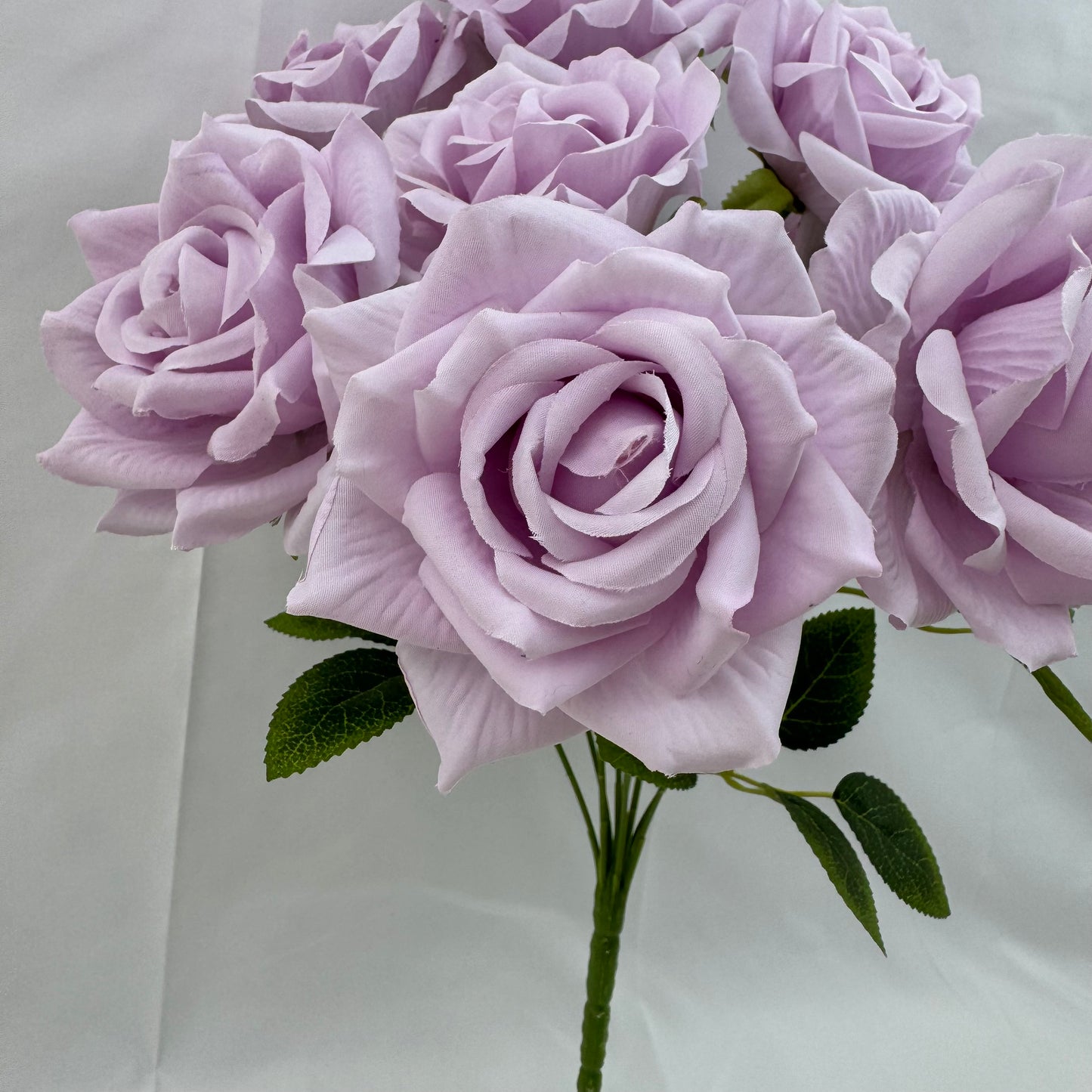 Lilac Silk Fruit Rose Bush - 9 Heads