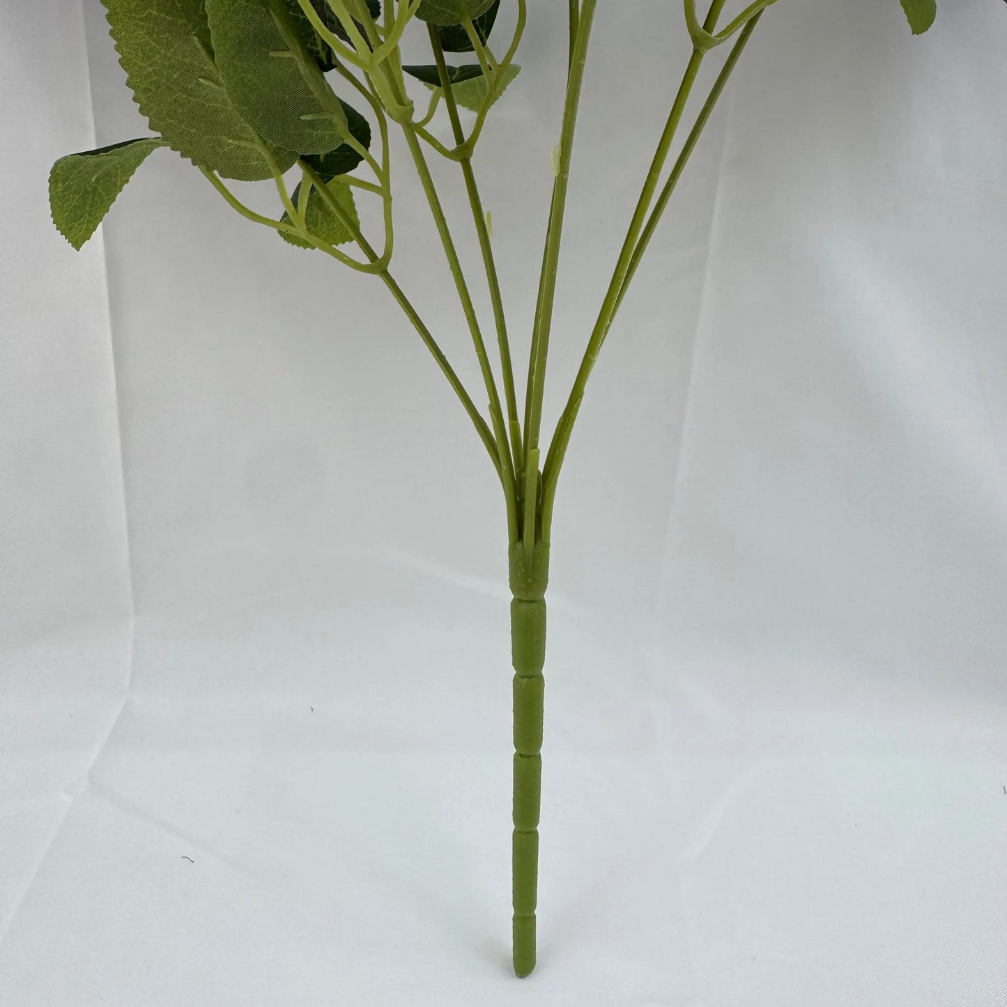 Lilac Silk Star Moon Rose Bush - 7 Heads RosesHQ.com