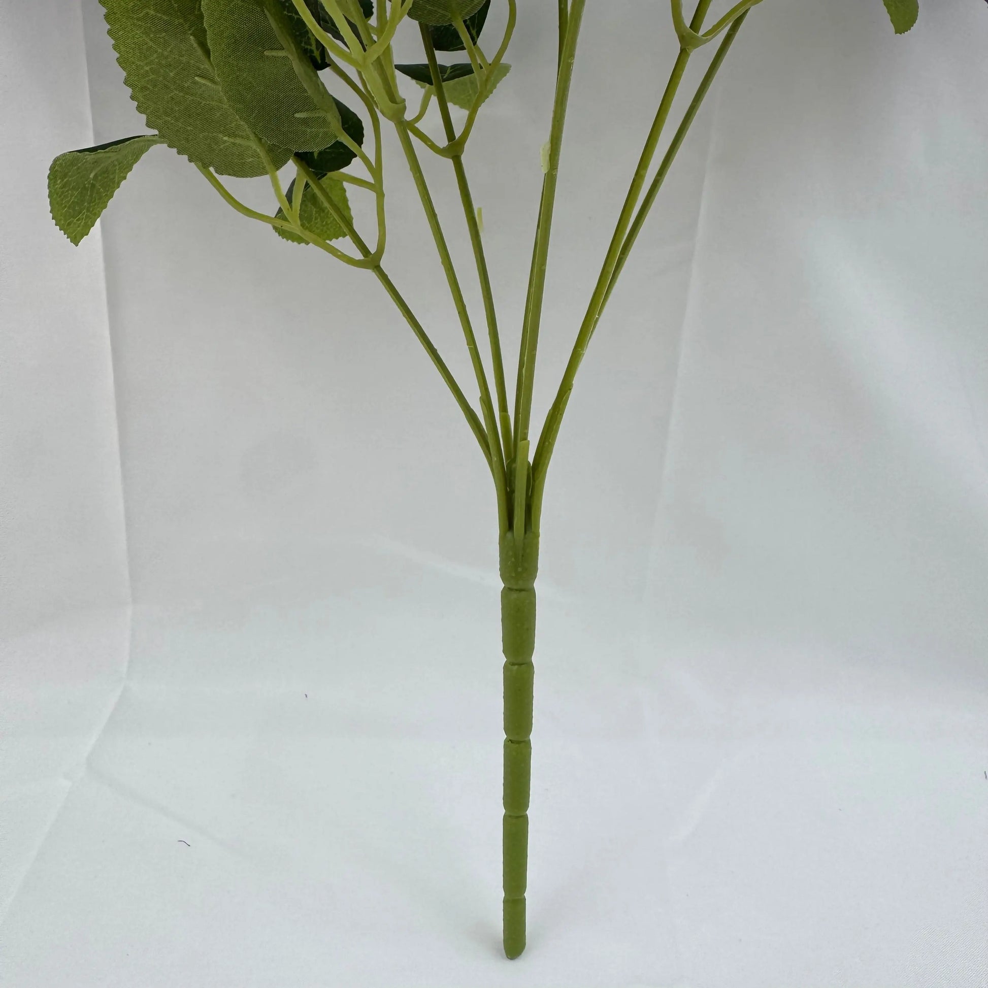 Lilac Silk Star Moon Rose Bush - 7 Heads RosesHQ.com