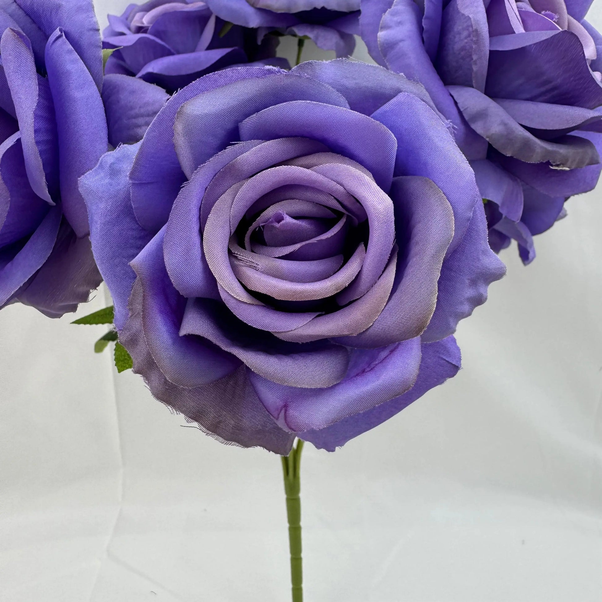 Lilac Silk Star Moon Rose Bush - 7 Heads RosesHQ.com