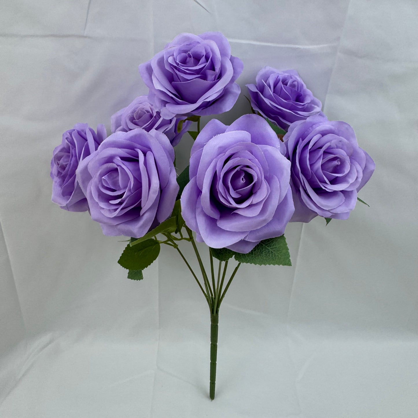 Lilac Silk Happiness Rose Bush - 7 Heads