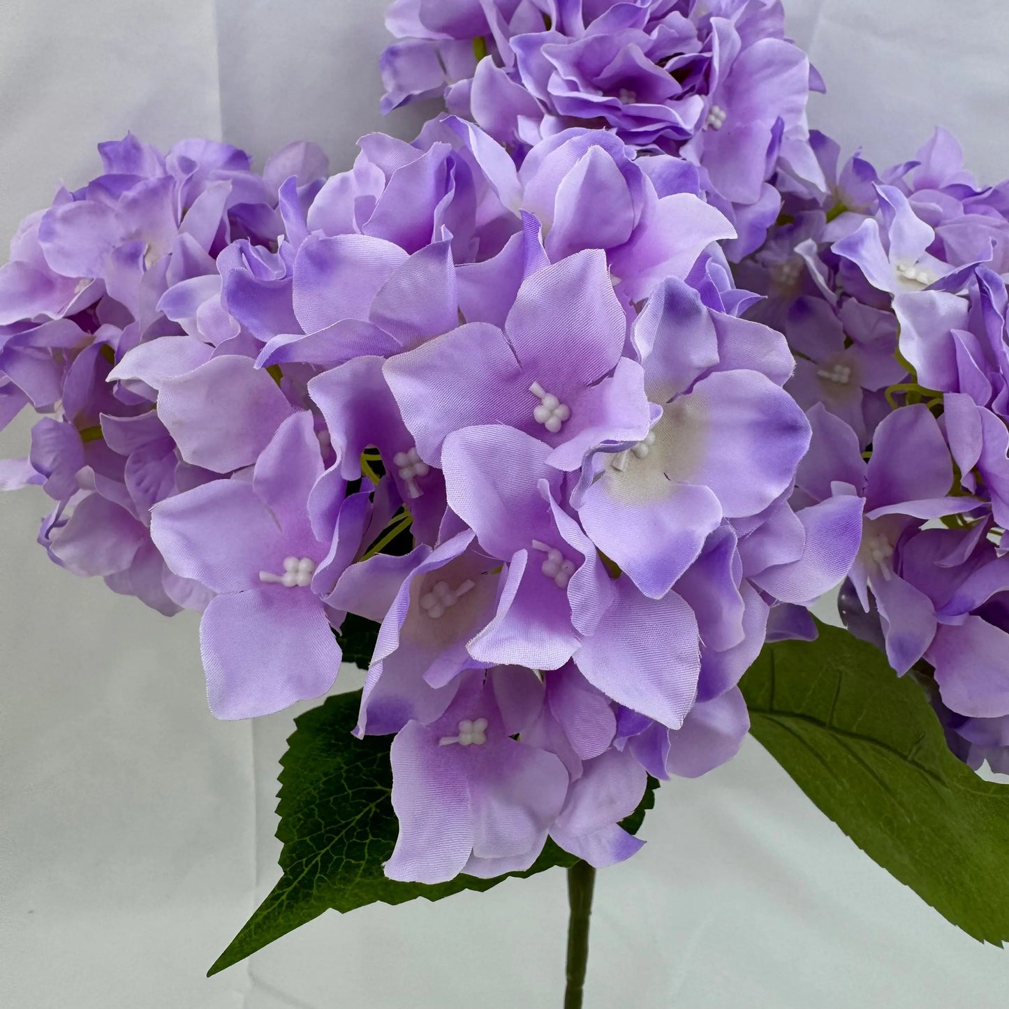 Lavender Silk 3D Hydrangea Bush - 5 Heads RosesHQ.com