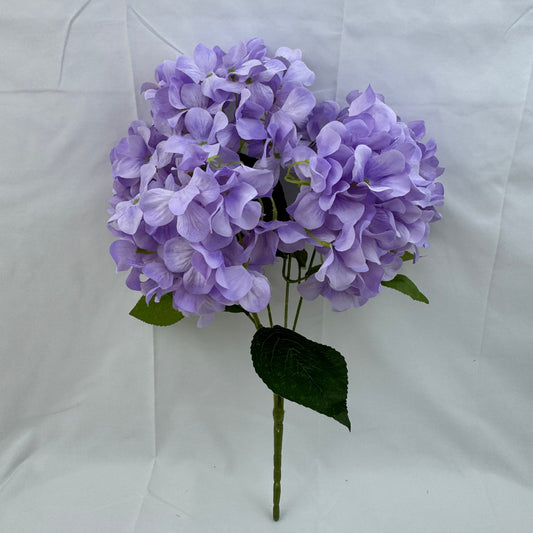 Lavender Silk Bulgarian Hydrangea Bush - 5 Heads