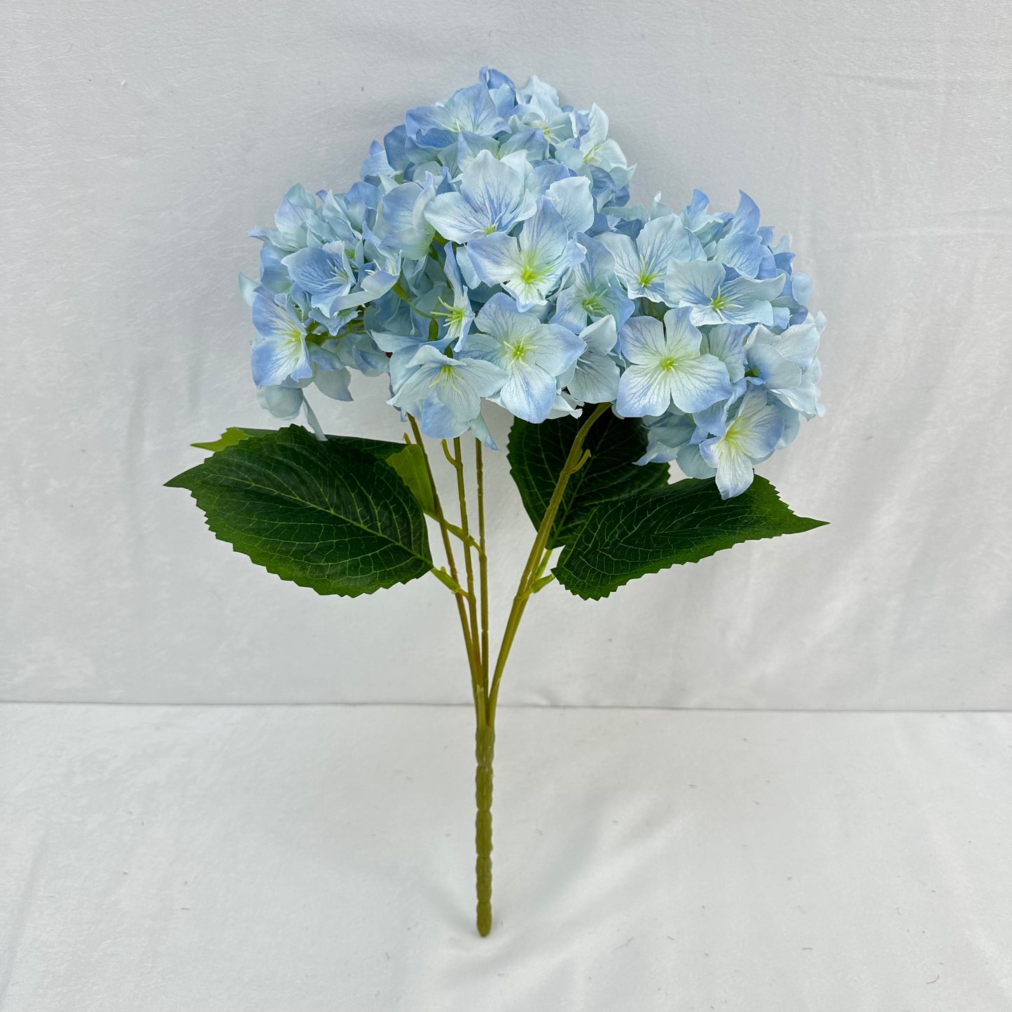 Blue Silk Lady Rose Hydrangea Bush - 5 Heads