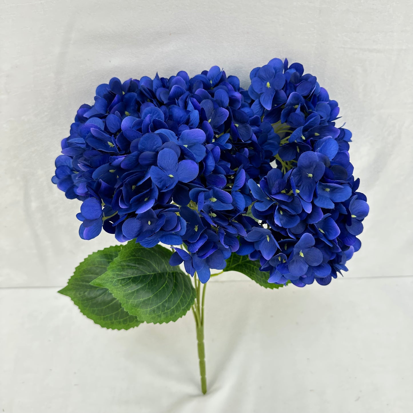 Blue Silk Pomegranate Hydrangea Bush - 5 Heads