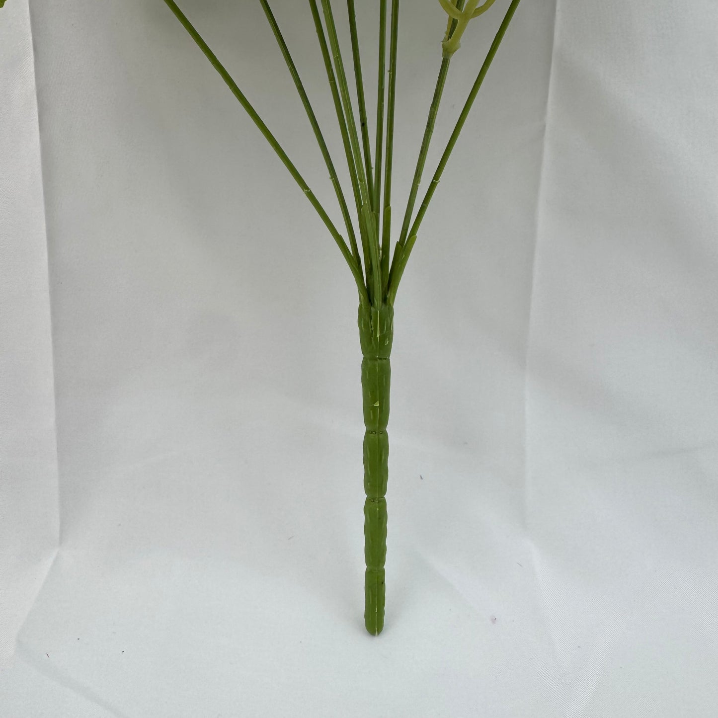 Lavender Silk Fruit Rose Bush - 9 Heads