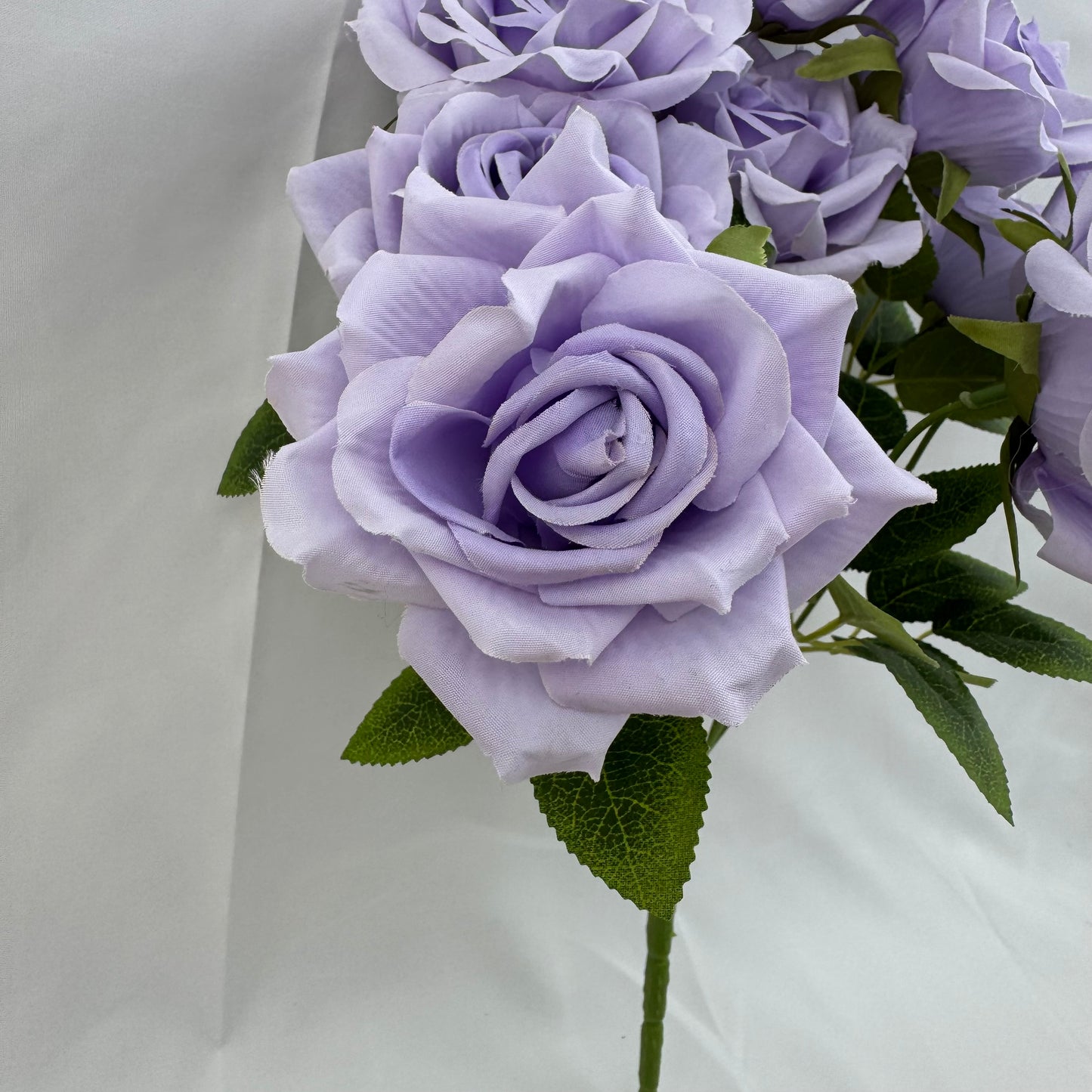 Lavender Silk Fruit Rose Bush - 9 Heads