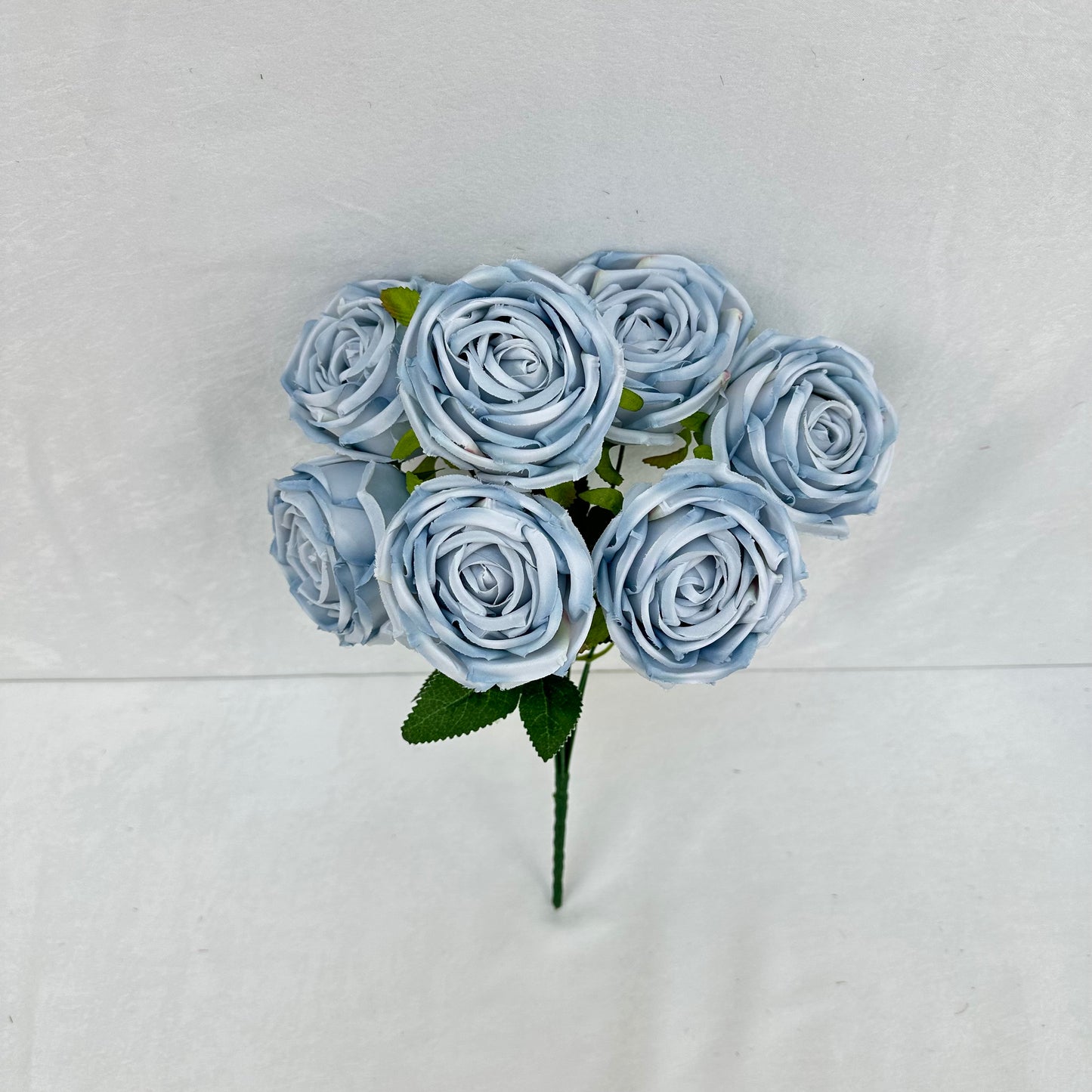Blue Silk Empress Rose Bush - 7 Heads