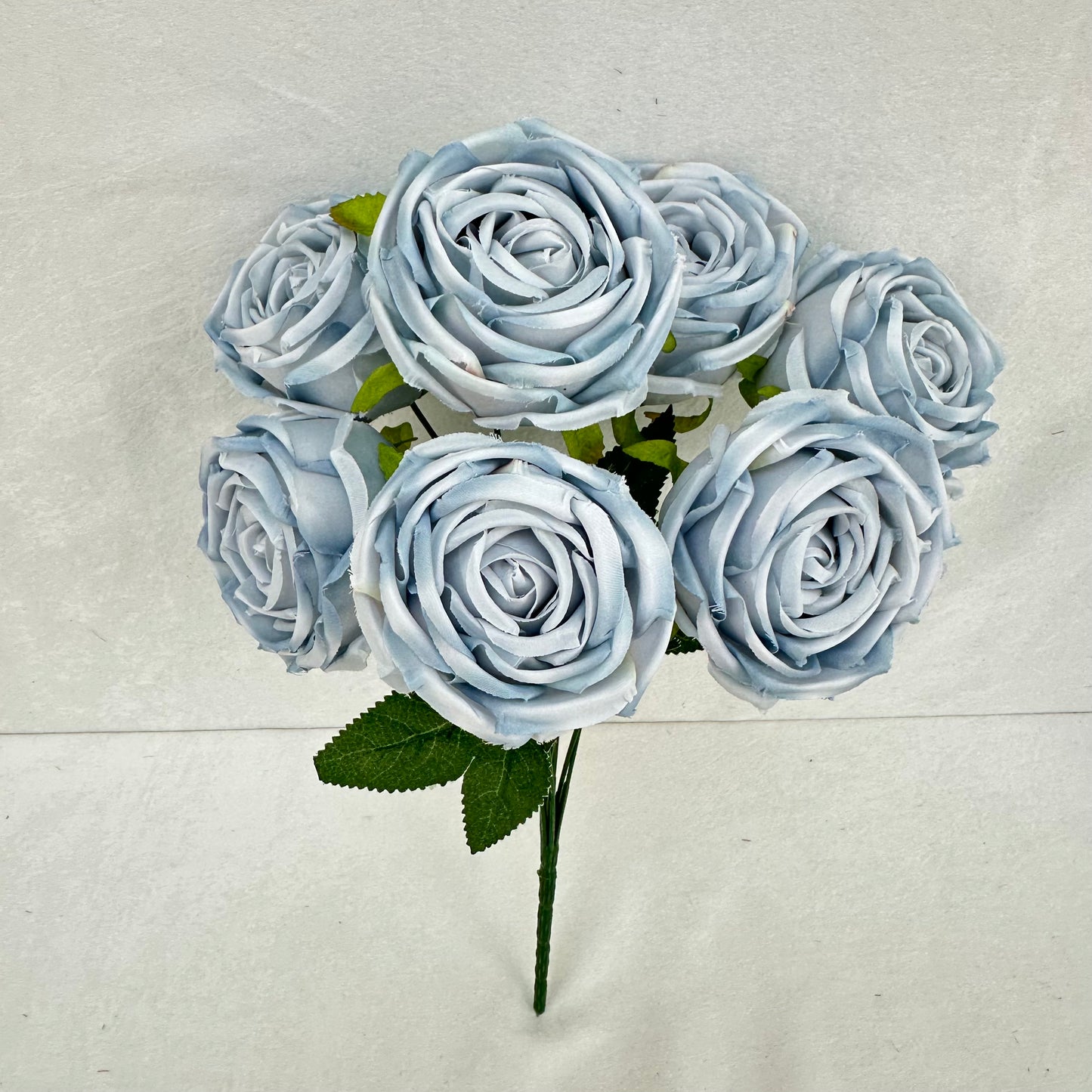 Blue Silk Empress Rose Bush - 7 Heads