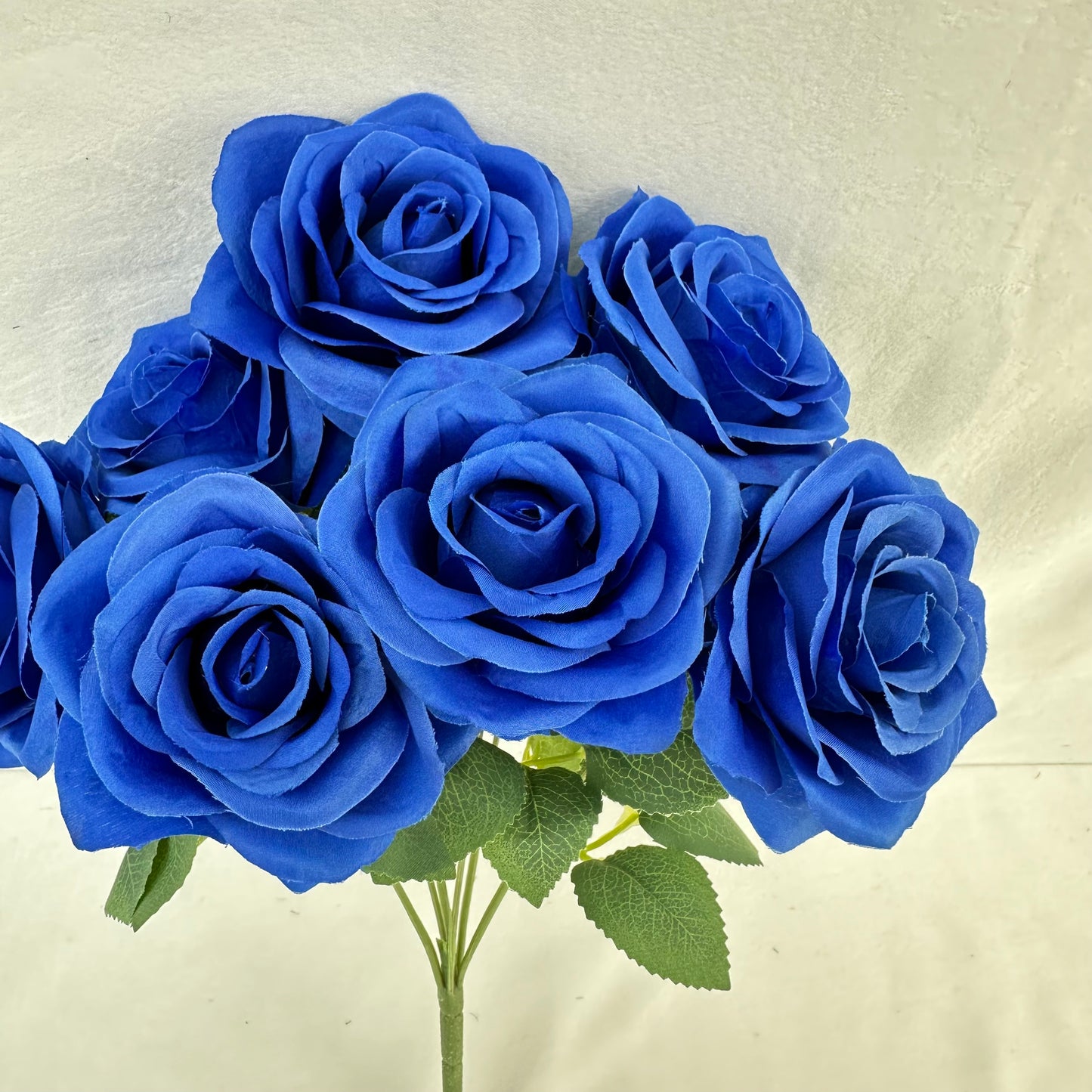 Blue Silk Happiness Rose Bush - 7 Heads