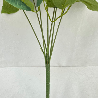 Blue Silk Happiness Rose Bush - 7 Heads