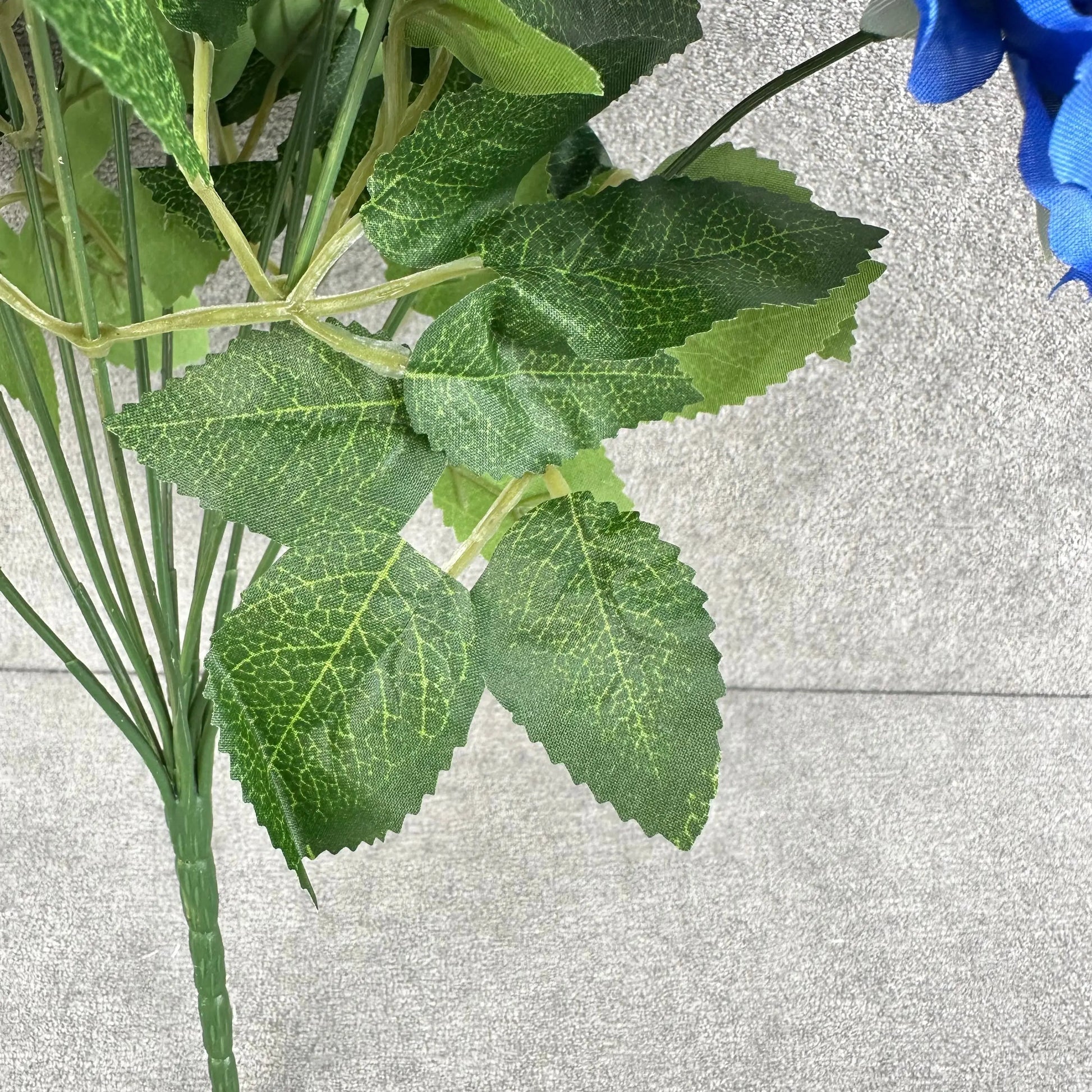 Blue Silk Lucky Ranunculus Bush - 12 Heads RosesHQ.com