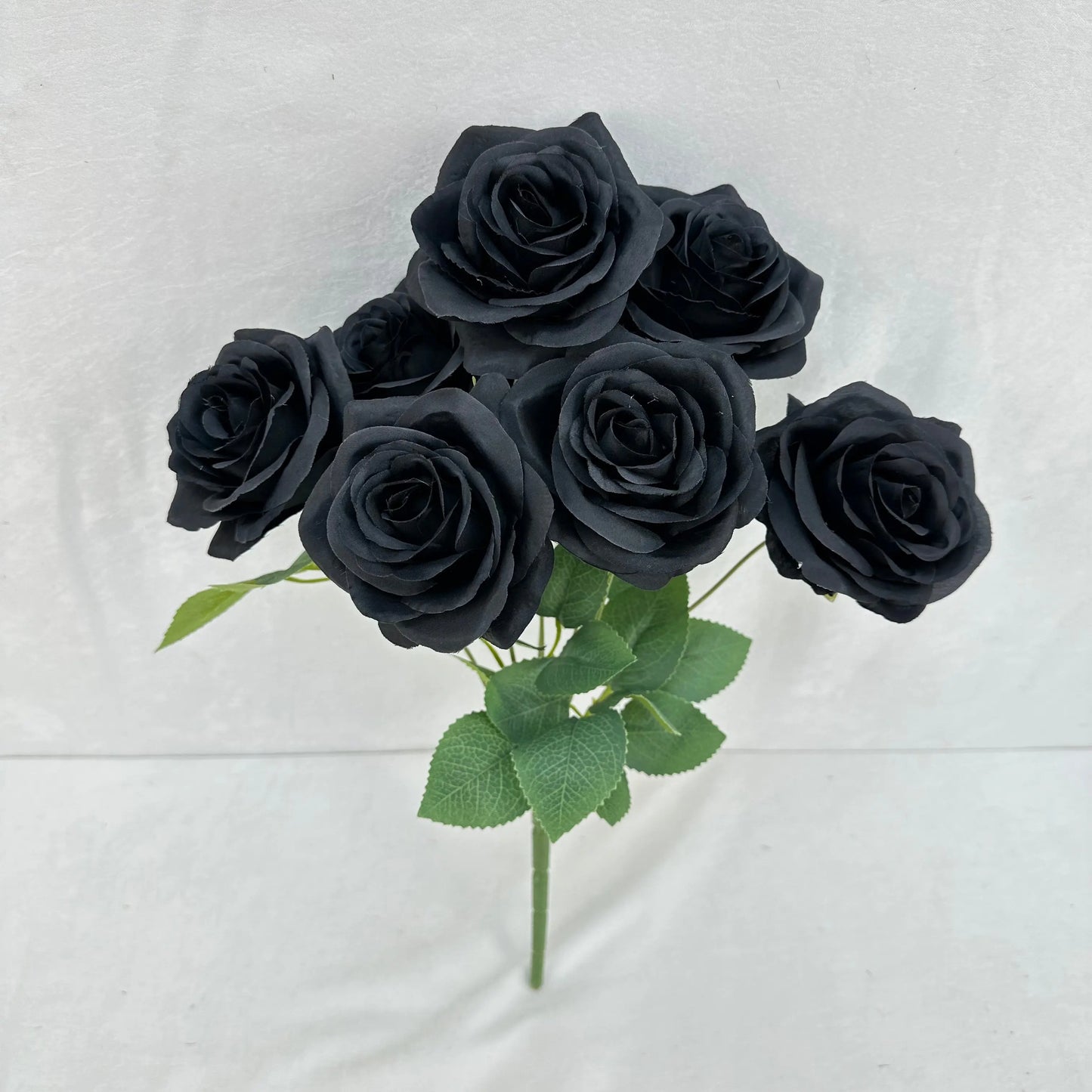 Black Silk Happiness Rose Bush - 7 Heads RosesHQ.com