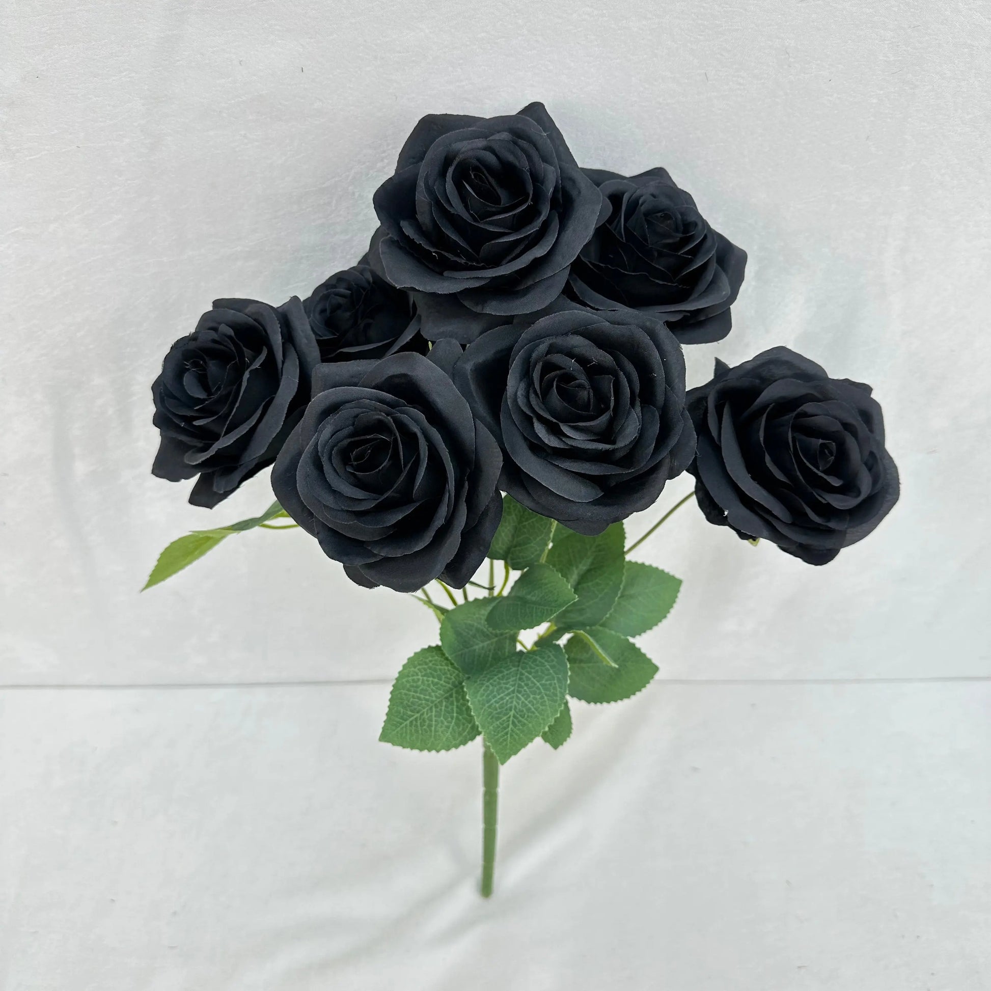 Black Silk Happiness Rose Bush - 7 Heads RosesHQ.com