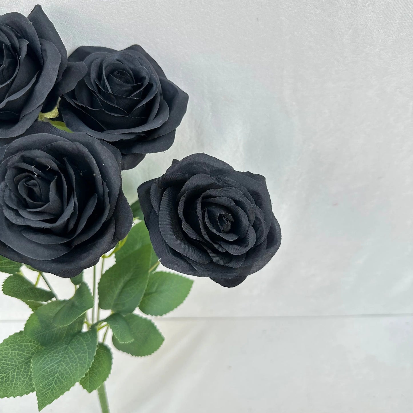 Black Silk Happiness Rose Bush - 7 Heads RosesHQ.com