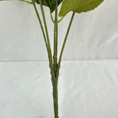 Green Silk French Hydrangea Bush - 5 Heads