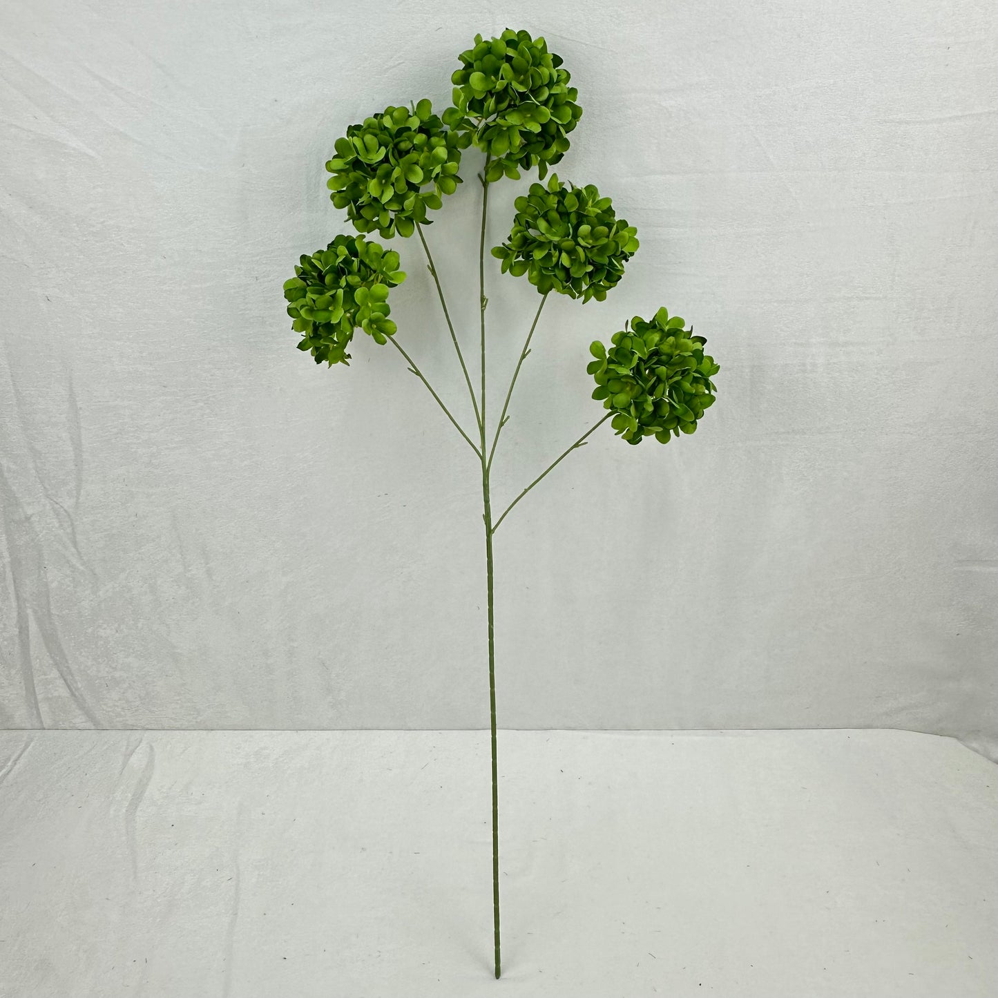 Green Silk Candy Hydrangea Bush - 5 Heads