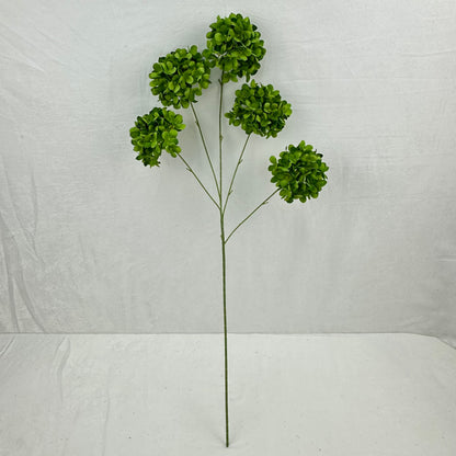 Green Silk Candy Hydrangea Bush - 5 Heads