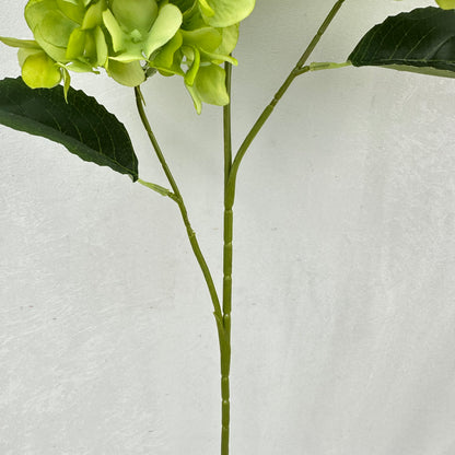 Green Silk Pagoda Hydrangea Spray - 3 Heads