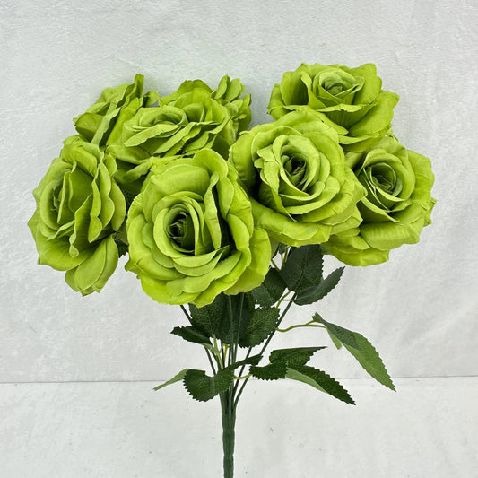 Green Silk Diamond Rose Bush - 9 Heads RosesHQ.com