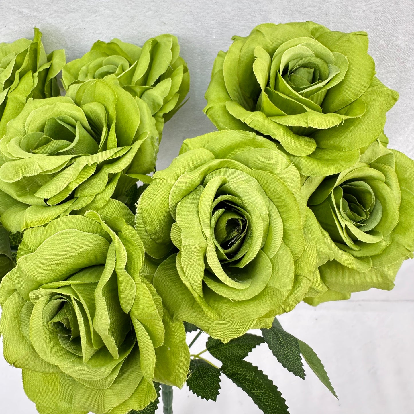 Green Silk Diamond Rose Bush - 9 Heads