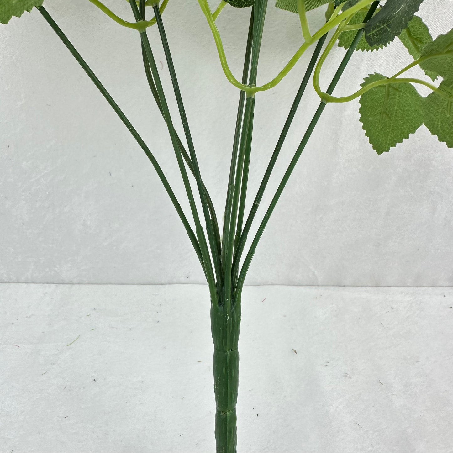 Green Silk Diamond Rose Bush - 9 Heads