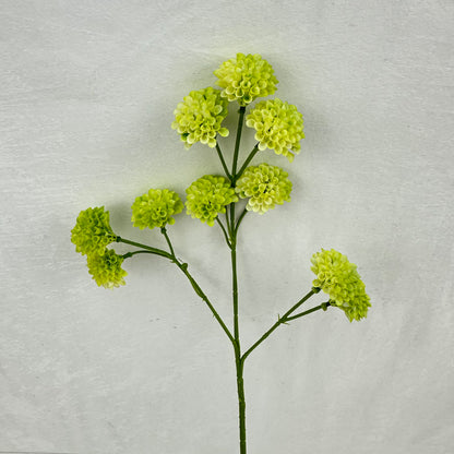 Green Small Honeycomb Spray - 10 Heads