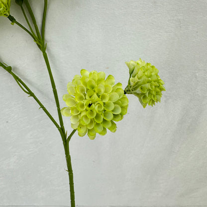 Green Small Honeycomb Spray - 10 Heads
