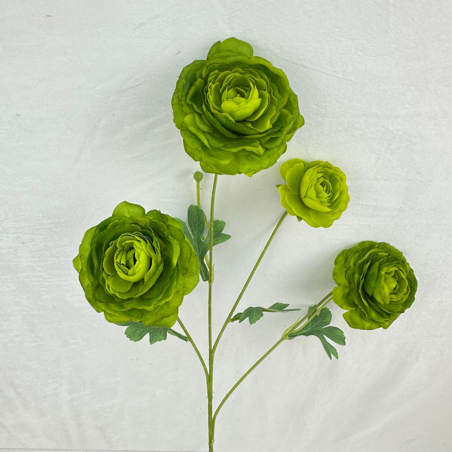 Green Silk Nerine Peony Bush - 4 Heads
